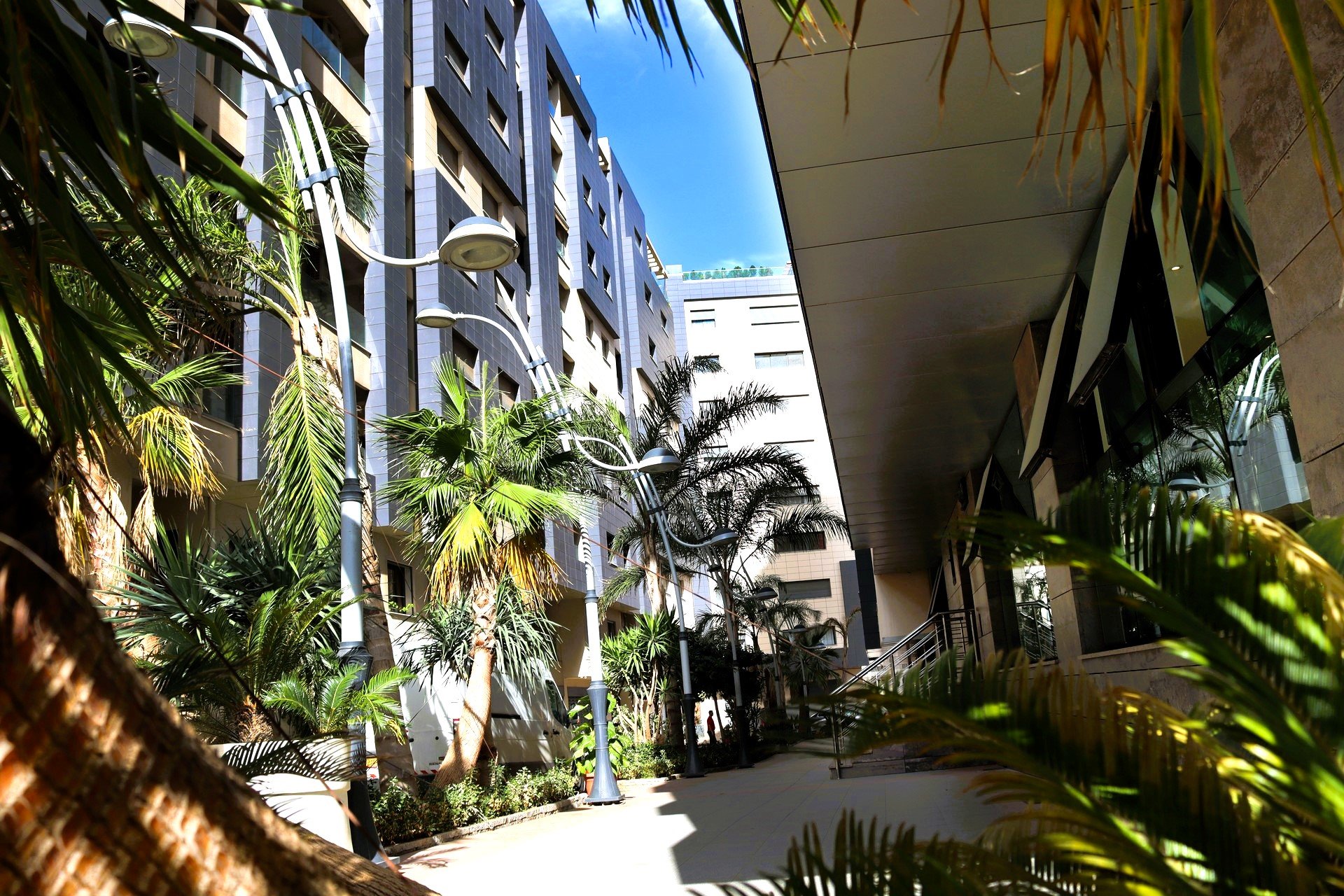 مَقَامُ الْإِقَامَةِ الدِّجْنَانَ، AMK هباش تطوير العقارات المُطَوِّرُ العقاري الجزائر الترقية العقارية في الجزائر